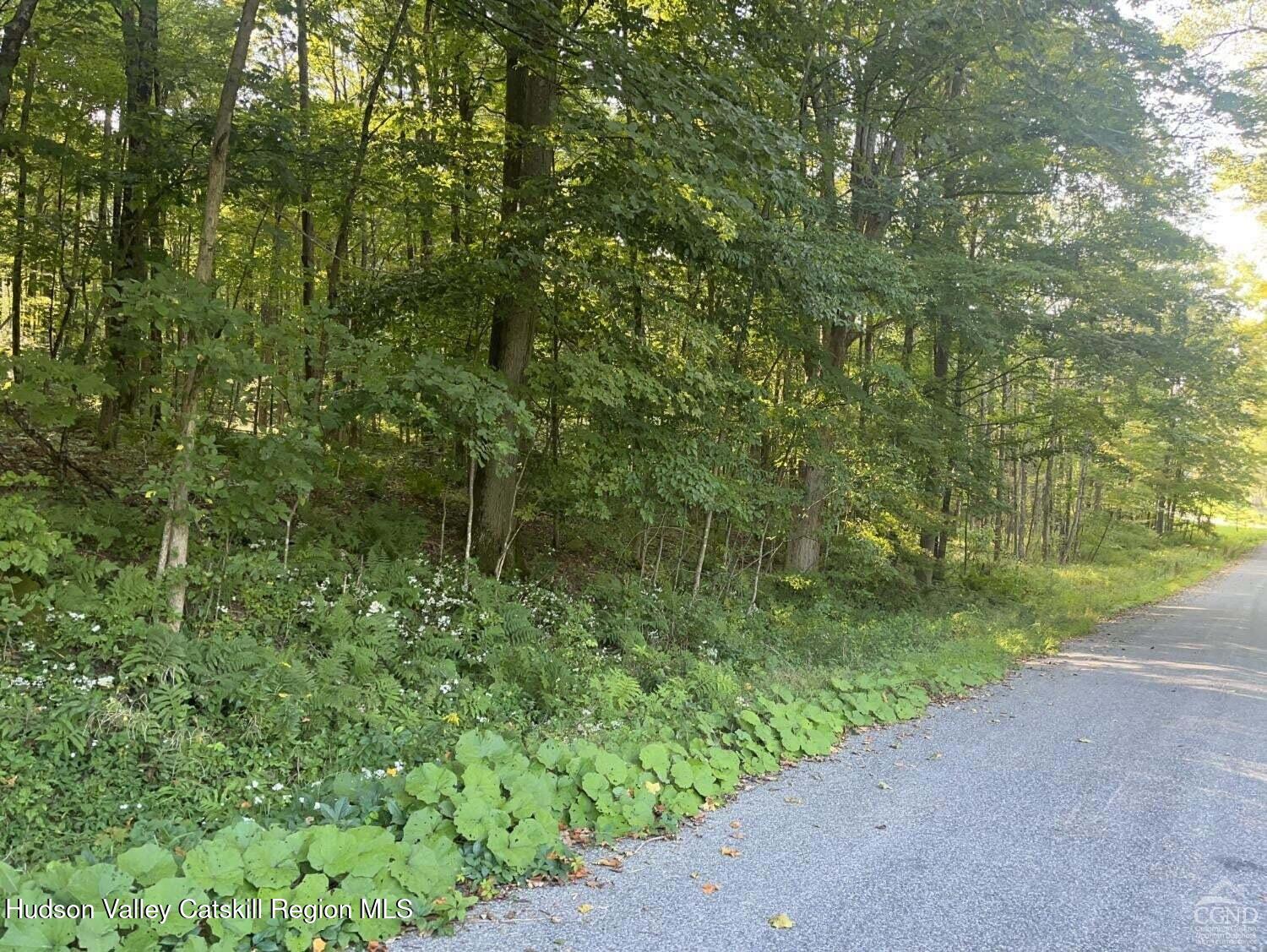 0 Churchill Road Canaan, NY 12029 - Photo 2 of 4 a view of a forest with a street