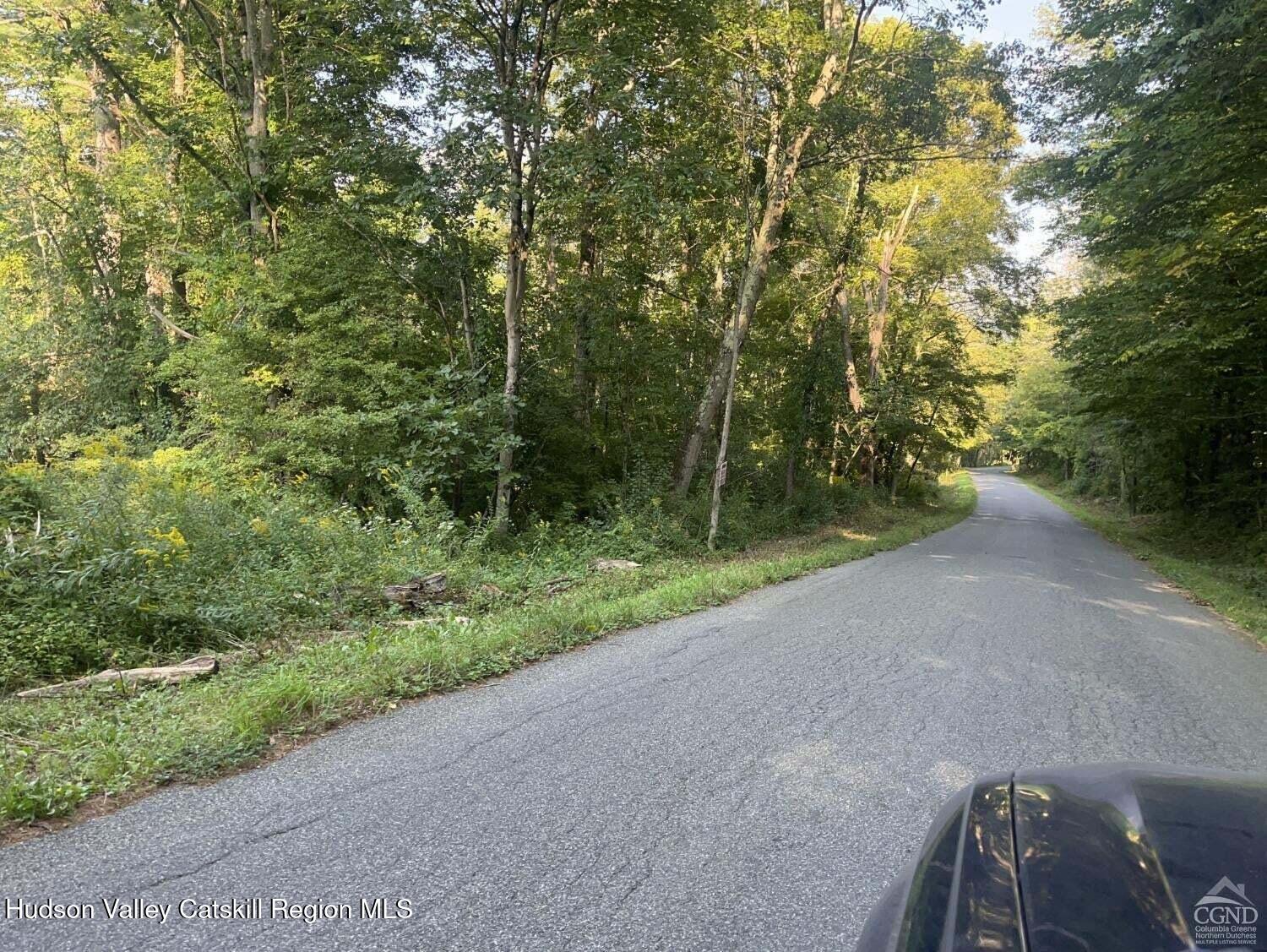 0 Churchill Road Canaan, NY 12029 - Photo 4 of 4 a view of a road with a trees