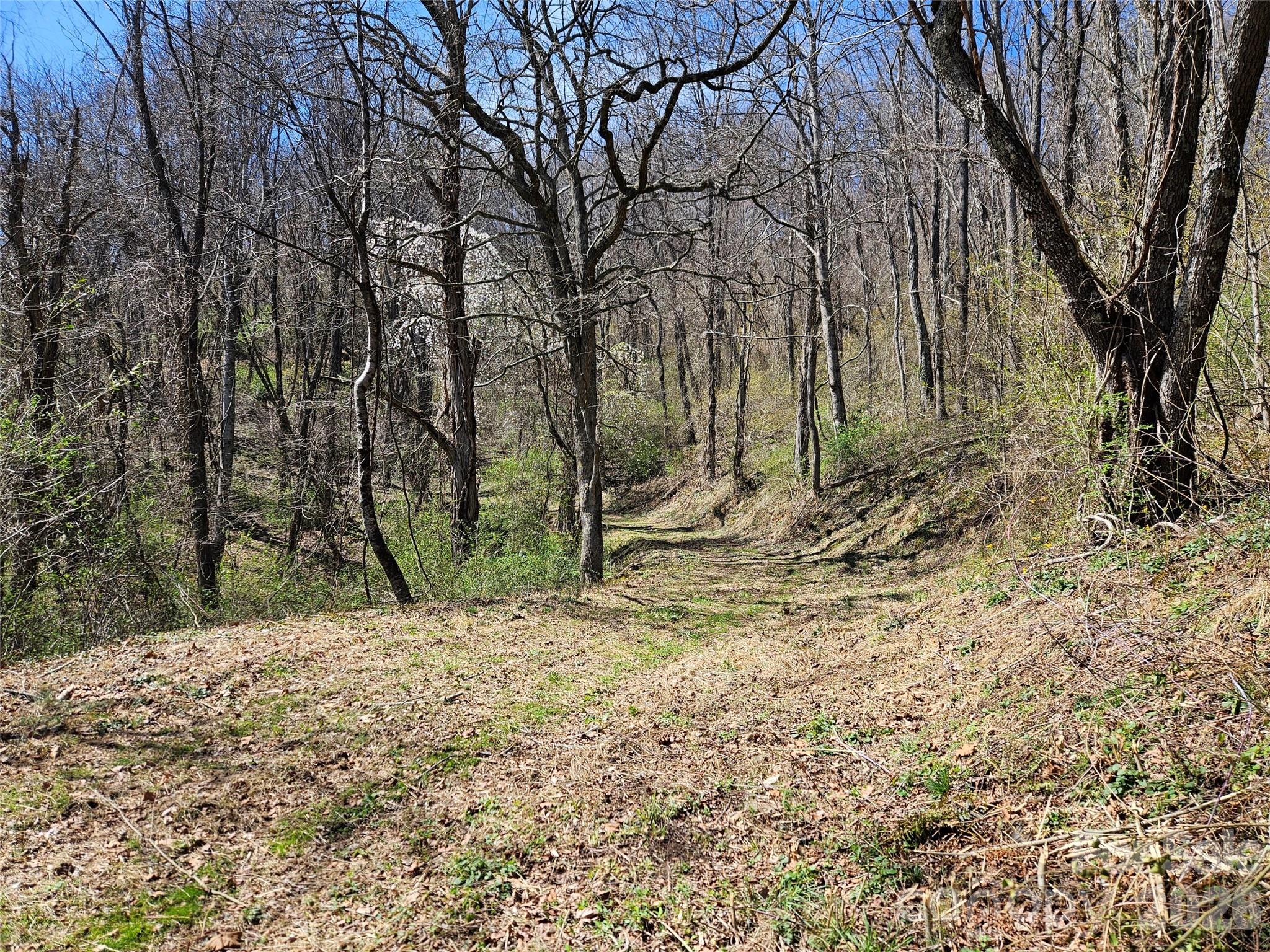 1200 Rocky Knob Road Waynesville, NC 28786 - Photo 20 of 32 Gallery Image 20
