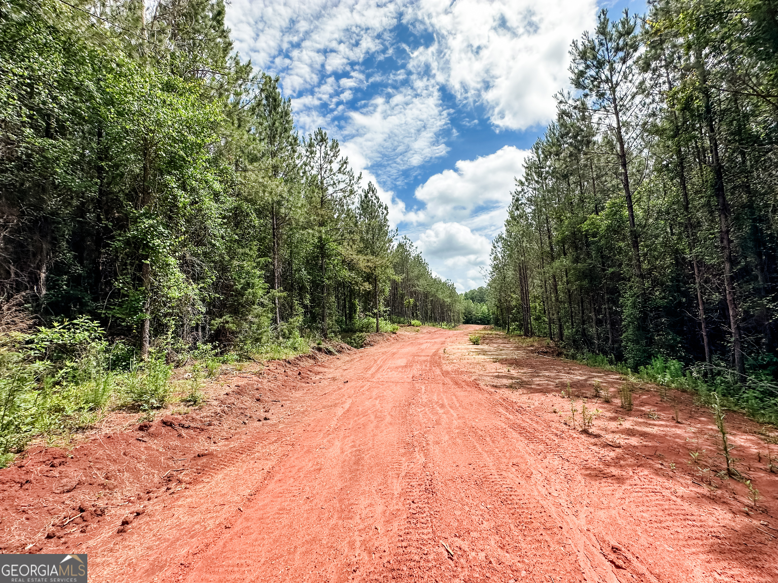 52.4-acres Goolsby Road, Unit 52 4 ACRES Monticello, GA 31064 - Photo 10 of 25