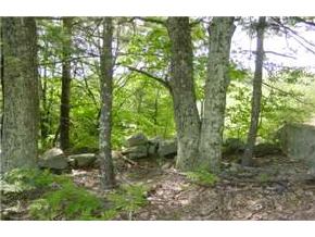 Lot 10-2-h Grapevine Road Dunbarton, NH 03046 - Photo 4 of 5