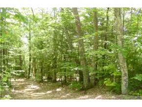 Lot 10-2-h Grapevine Road Dunbarton, NH 03046 - Photo 5 of 5
