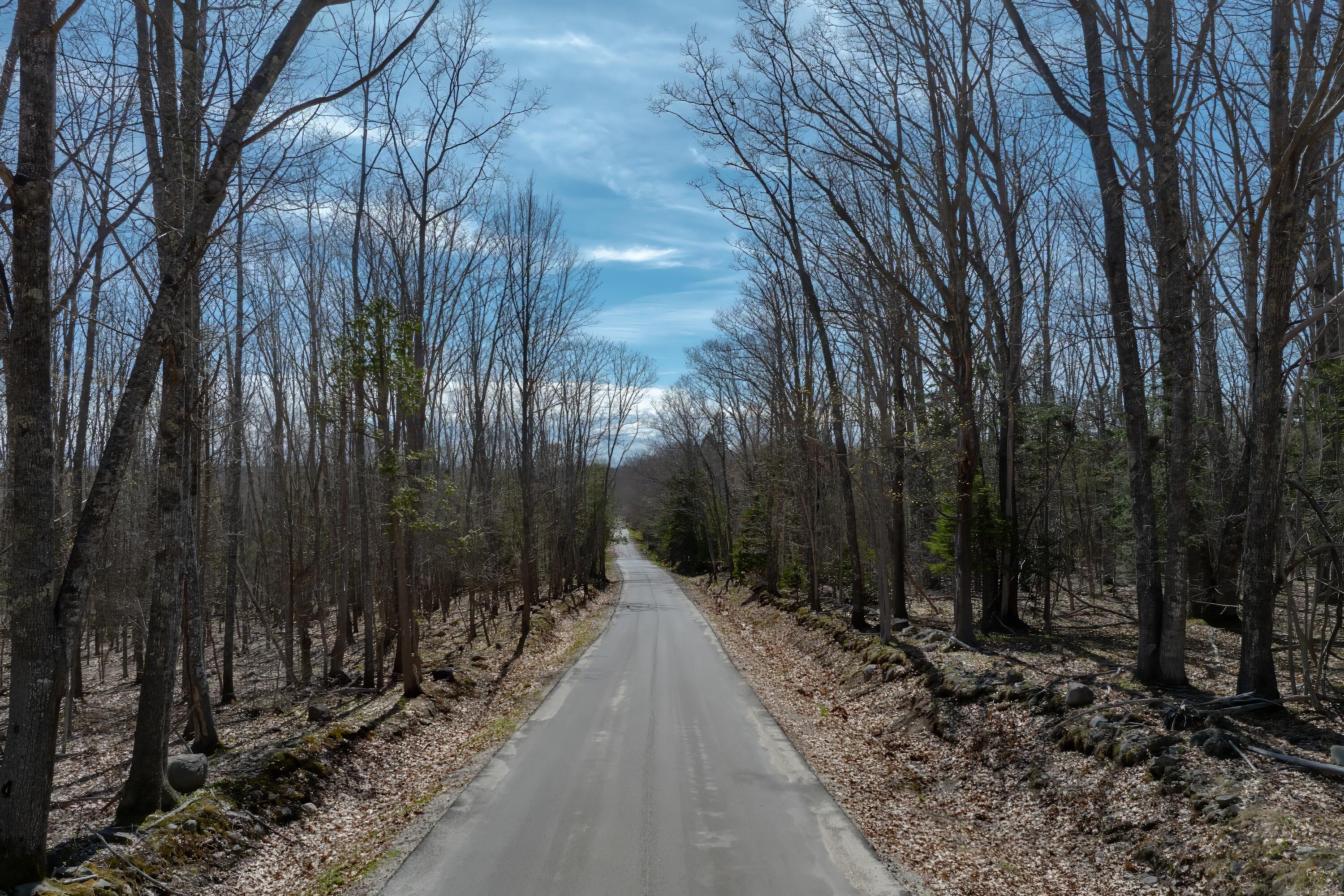 0 Kingdom Road Blue Hill, ME 04614 - Photo 12 of 14 17-Kingdom Road Land-DTP