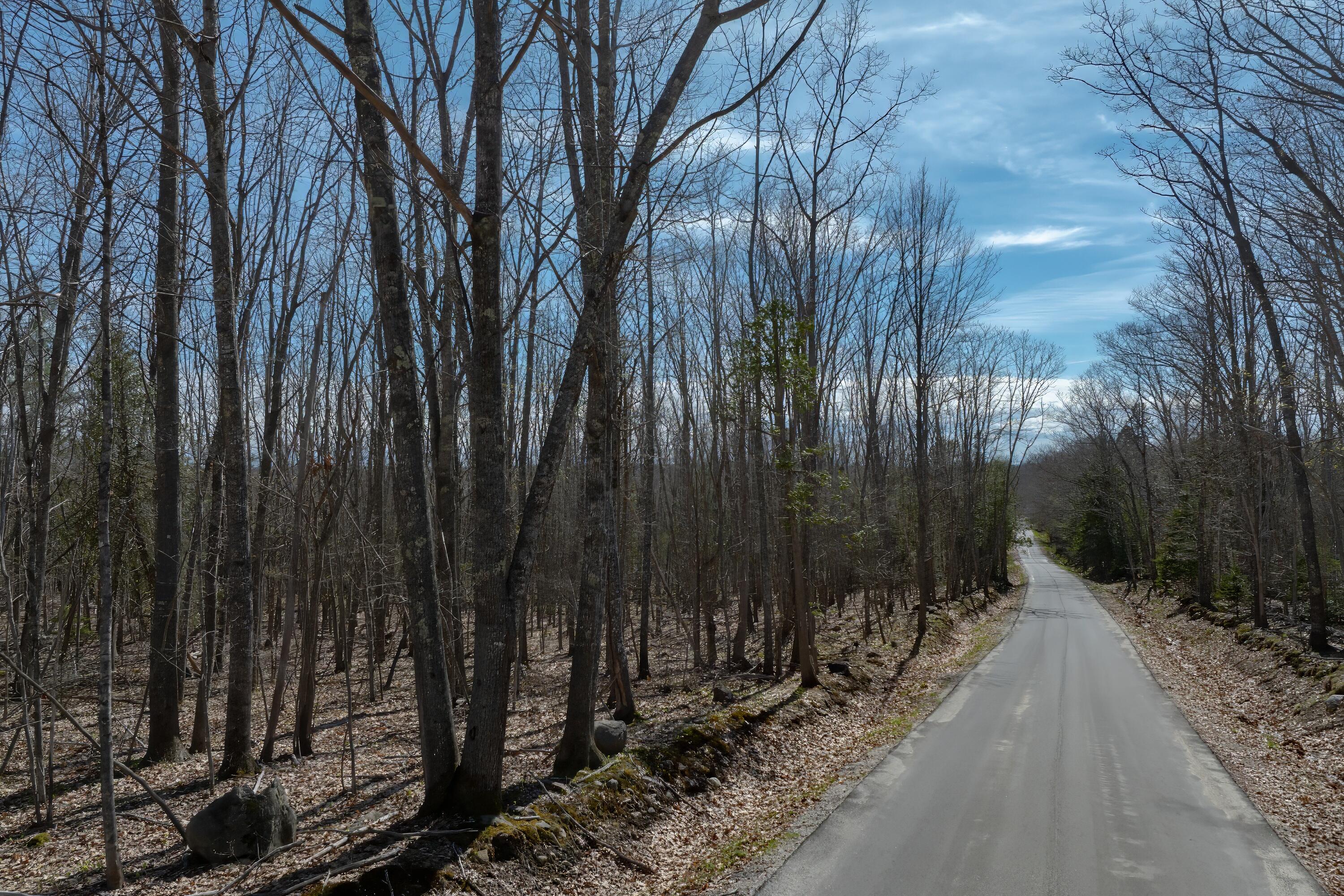 0 Kingdom Road Blue Hill, ME 04614 - Photo 13 of 14 18-Kingdom Road Land-DTP