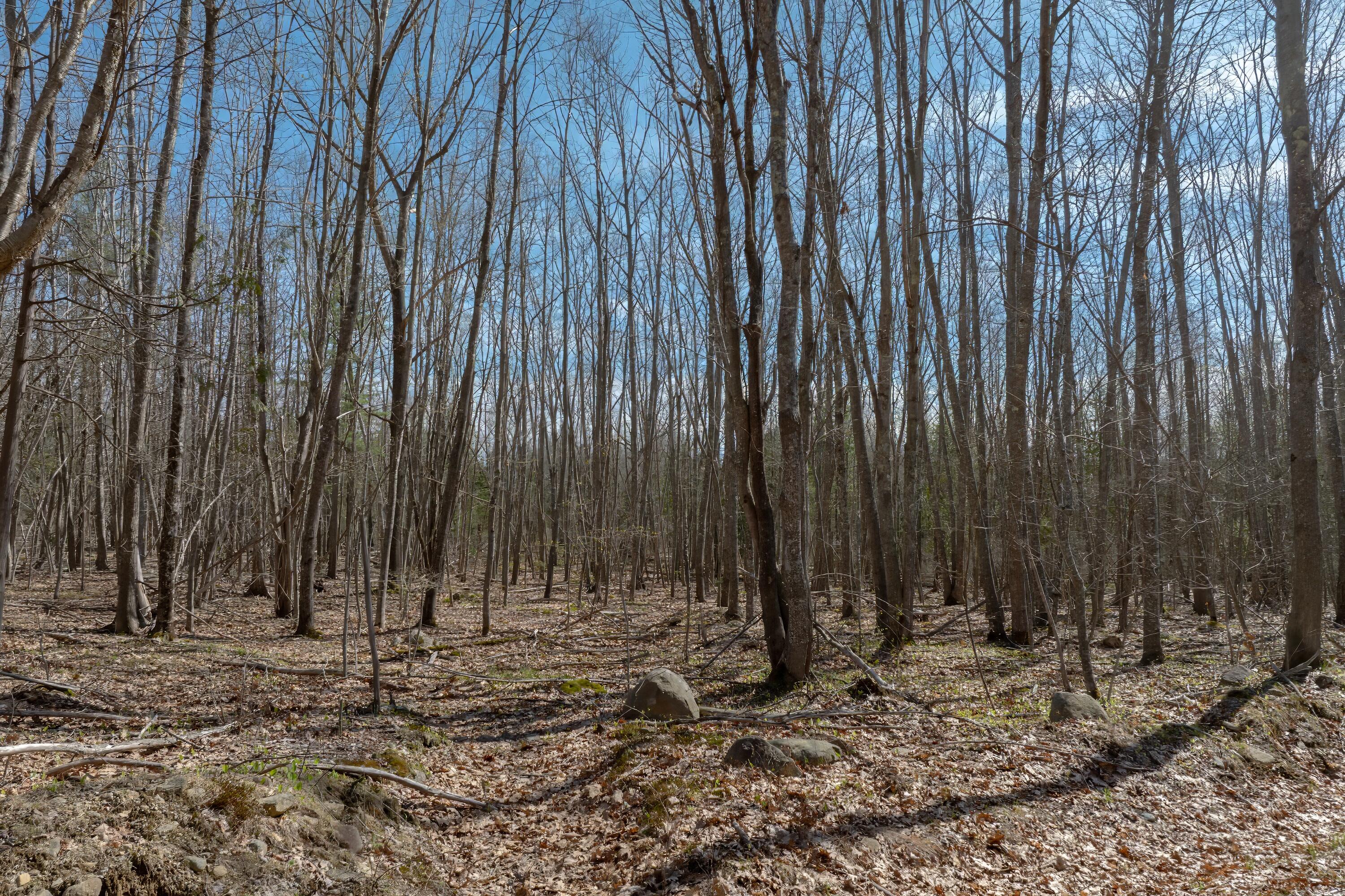 0 Kingdom Road Blue Hill, ME 04614 - Photo 2 of 14 21-Kingdom Road Land-DTP