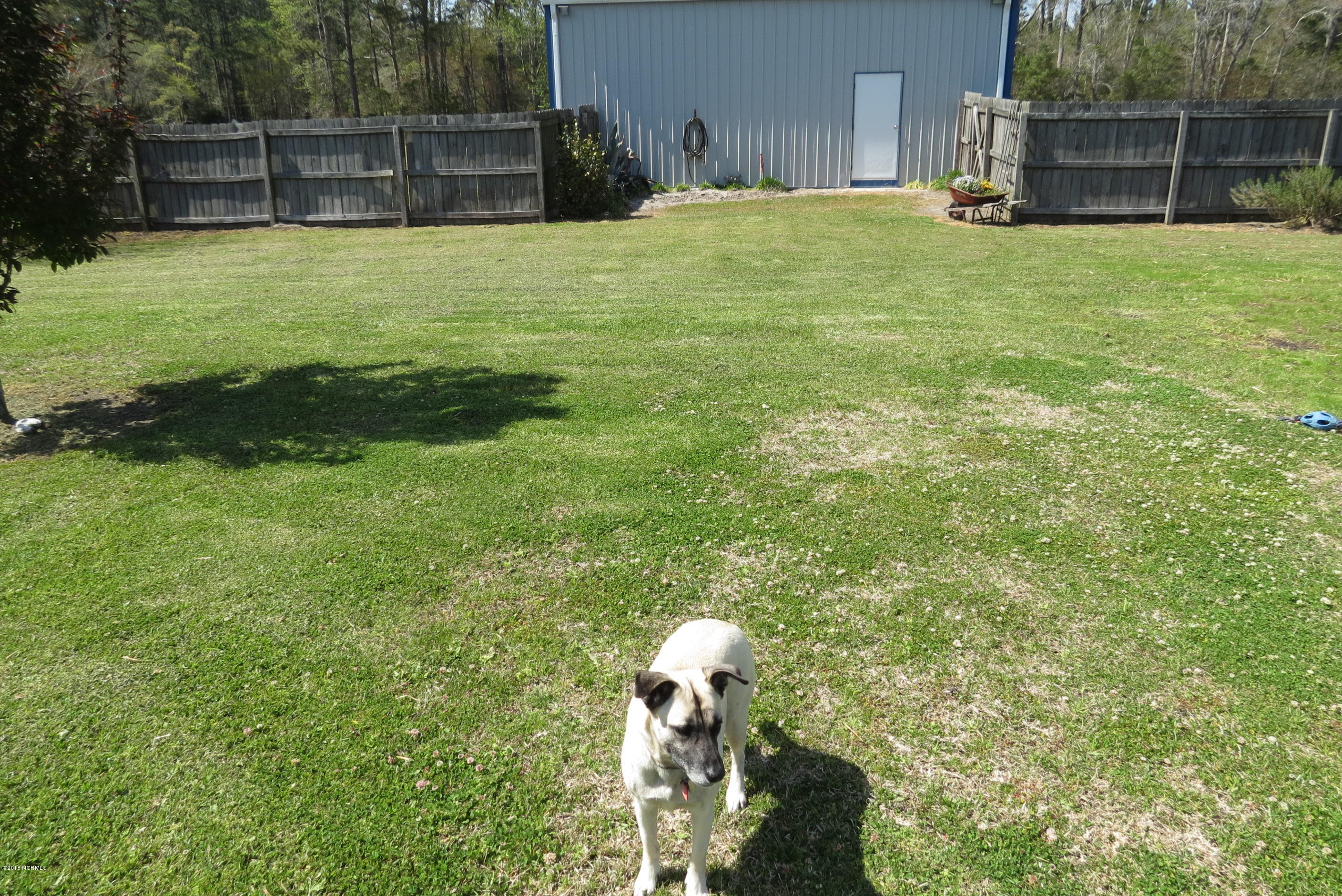 4819 Florence Road Merritt, NC 28556 - Photo 20 of 31 Great for pets!
