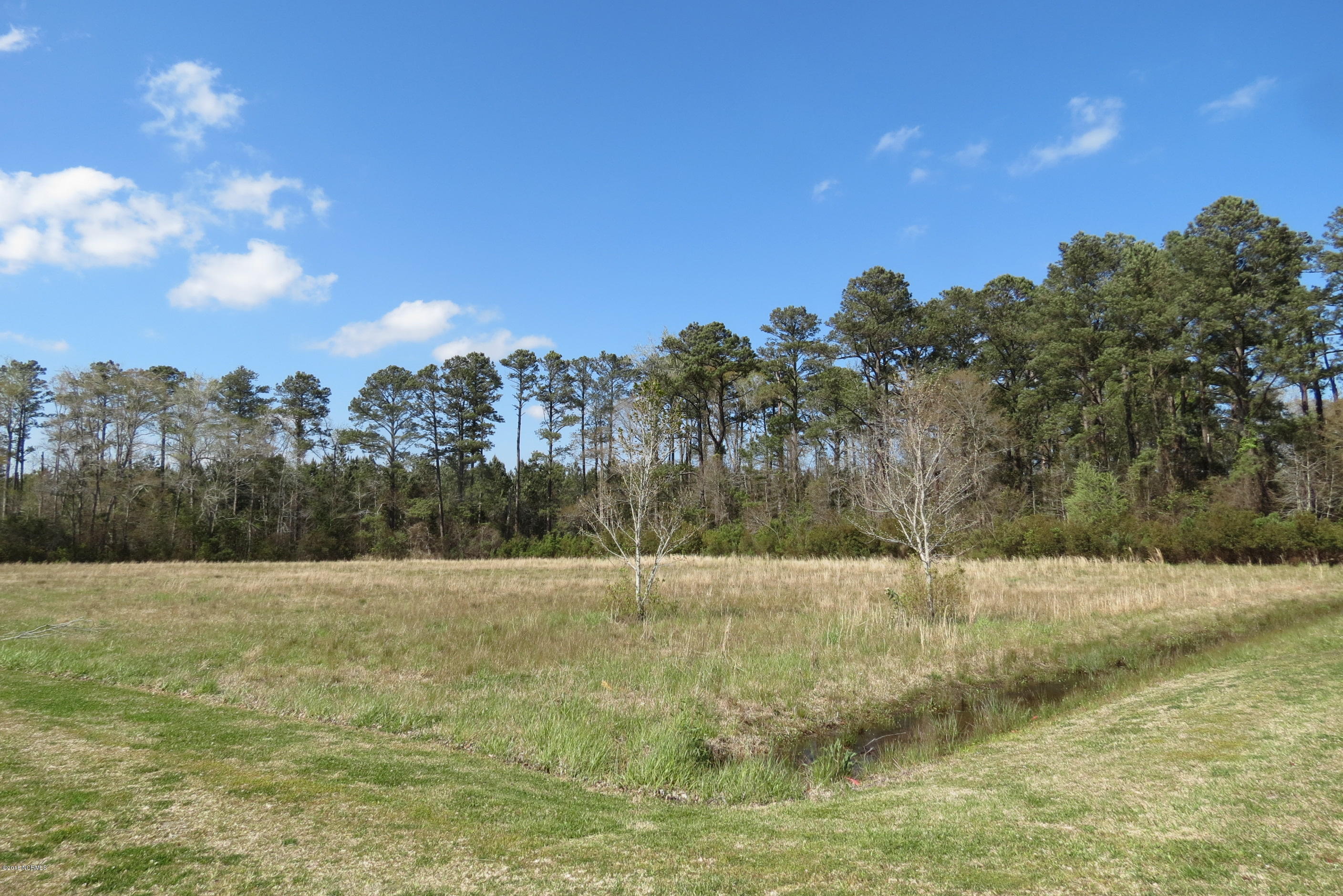 4819 Florence Road Merritt, NC 28556 - Photo 5 of 31 Open fields!