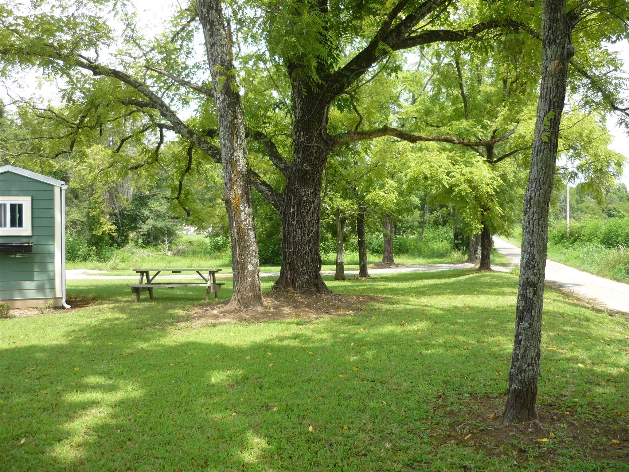705 Union Ridge Road Wartrace, TN 37183 - Photo 2 of 13 a view of a tree in a yard