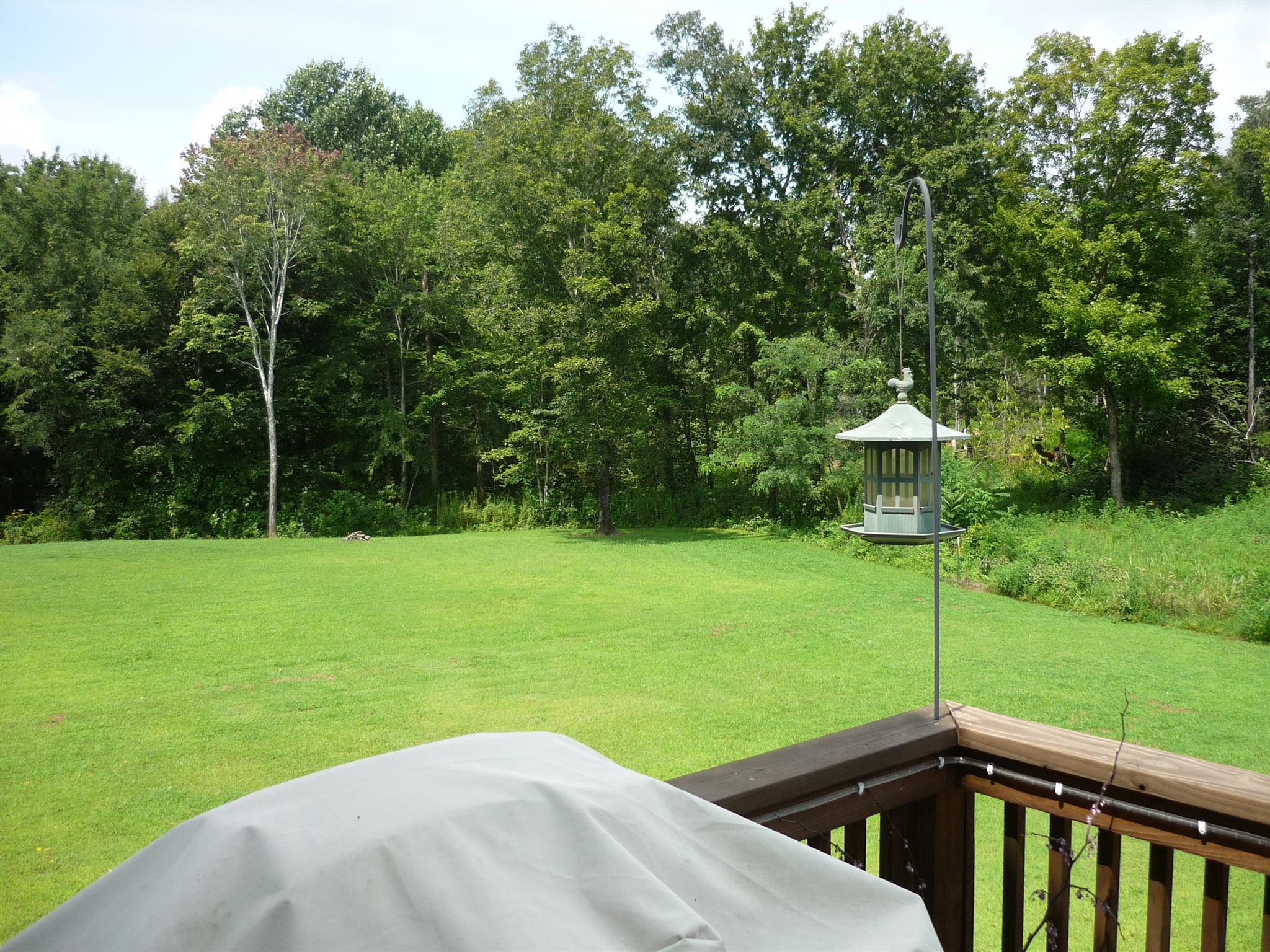 705 Union Ridge Road Wartrace, TN 37183 - Photo 6 of 13 a view of a backyard with a garden