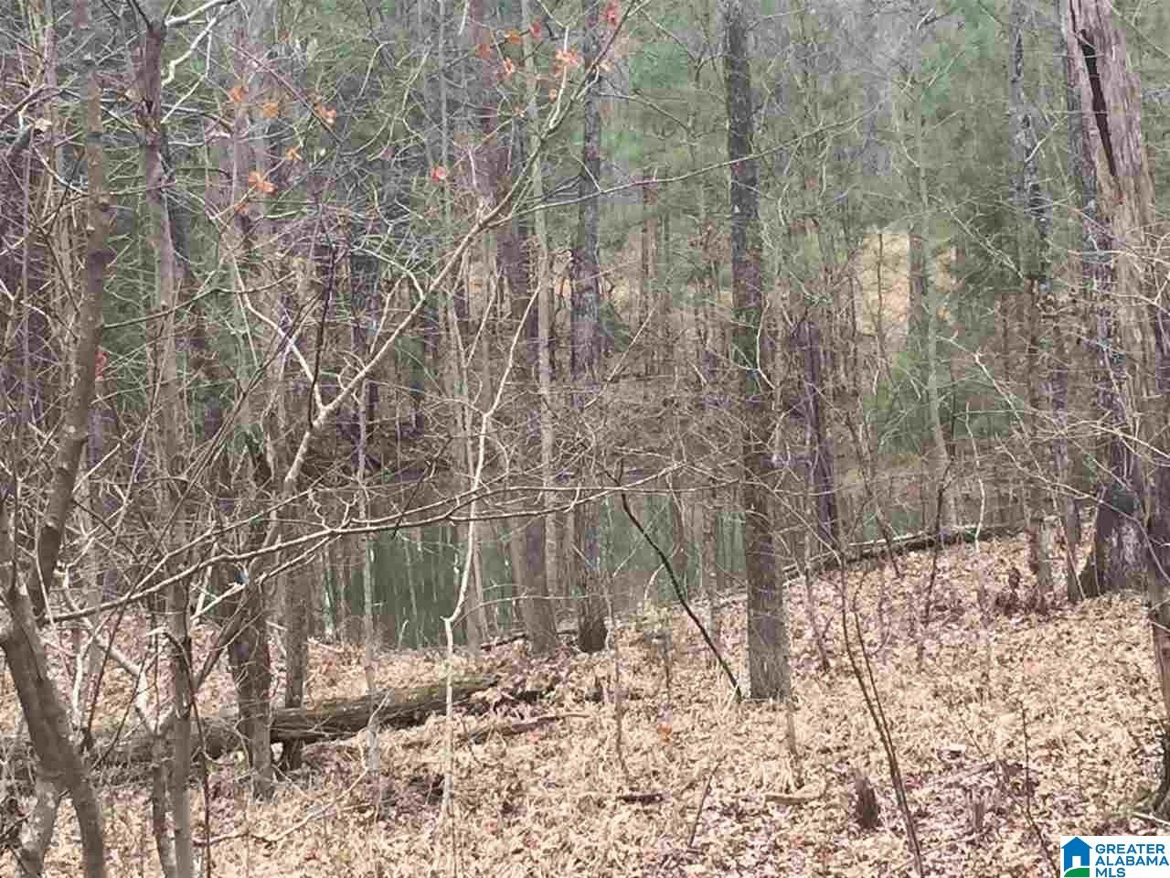 7465 Rodgers Road Southwest Leeds, AL 35094 - Photo 19 of 25