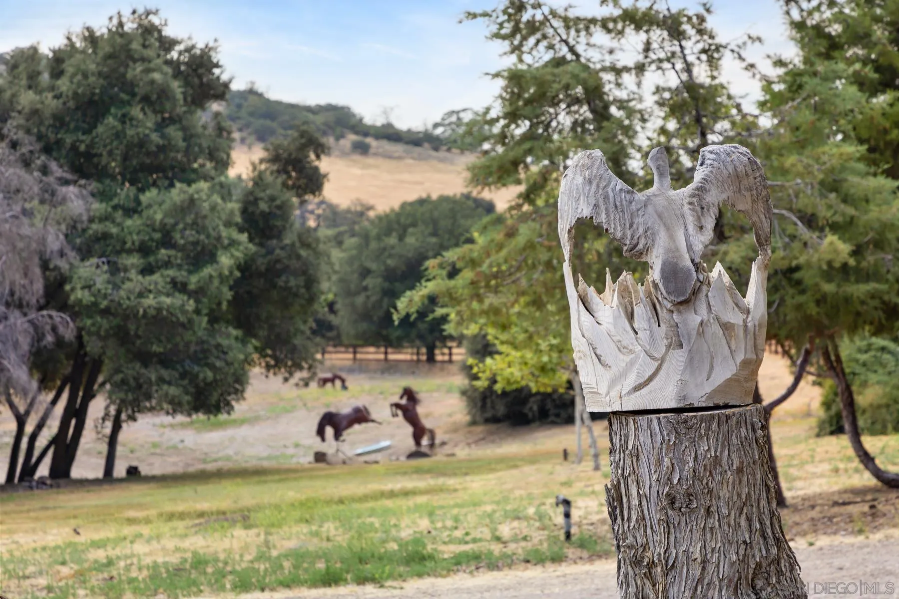 3141 Pine Hills Road Julian, CA 92036 - Photo 54 of 73 Gallery Image 54