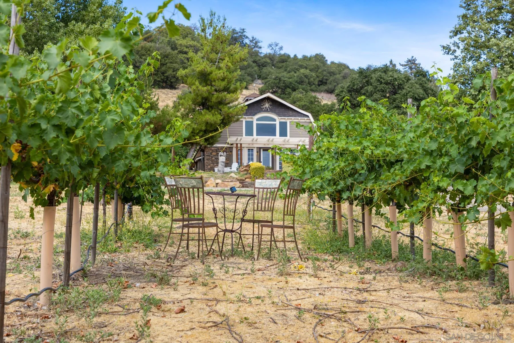 3141 Pine Hills Road Julian, CA 92036 - Photo 57 of 73 Gallery Image 57