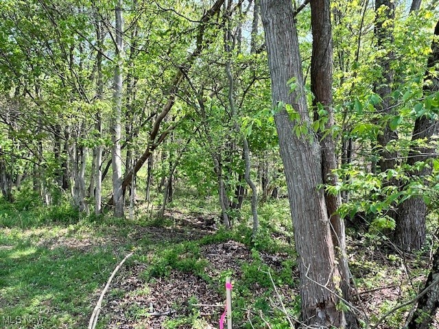Royal Street Midvale, OH 44653 - Photo 3 of 4 Wooded views