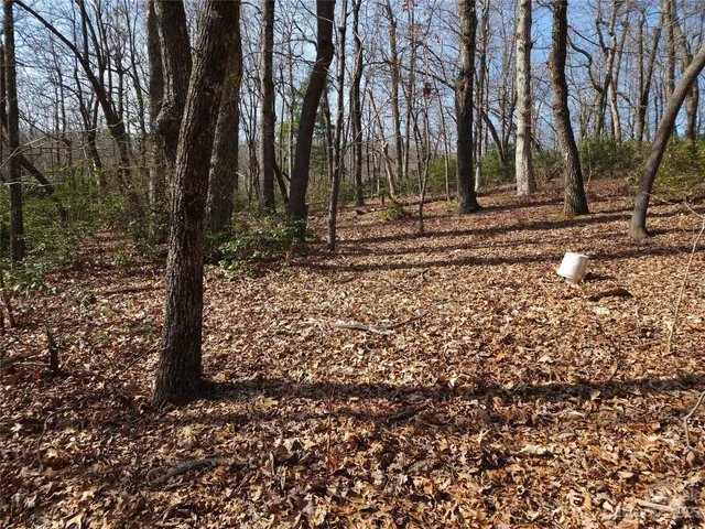 $99,000 | Lot 77 Three Bridges Drive, Columbus, NC 28722