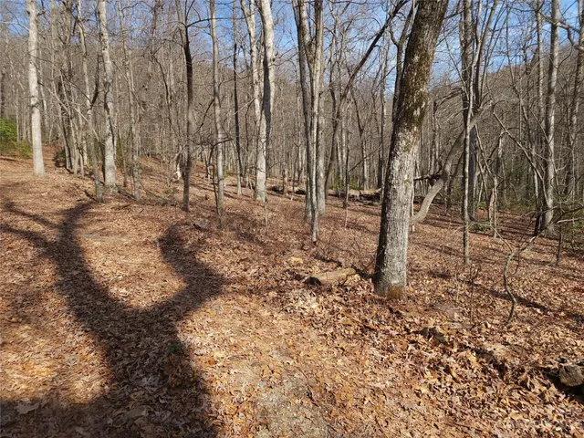 $99,000 | Lot 77 Three Bridges Drive, Columbus, NC 28722