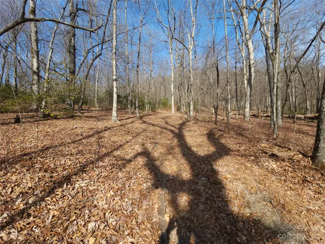 $99,000 | Lot 77 Three Bridges Drive, Columbus, NC 28722