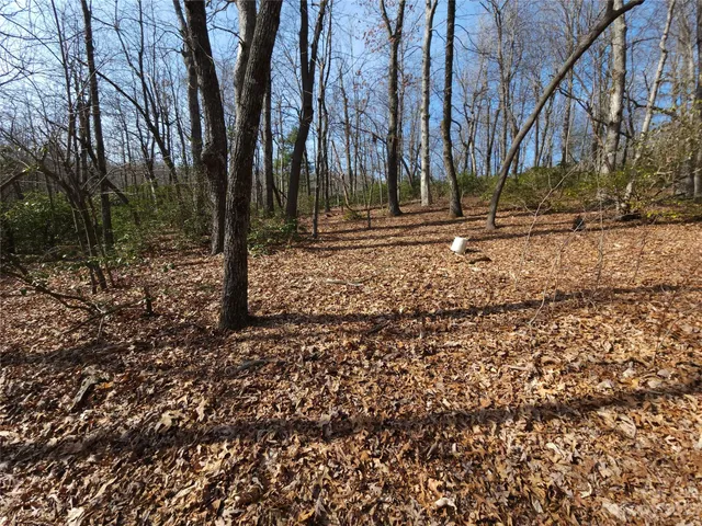 $99,000 | Lot 77 Three Bridges Drive, Columbus, NC 28722