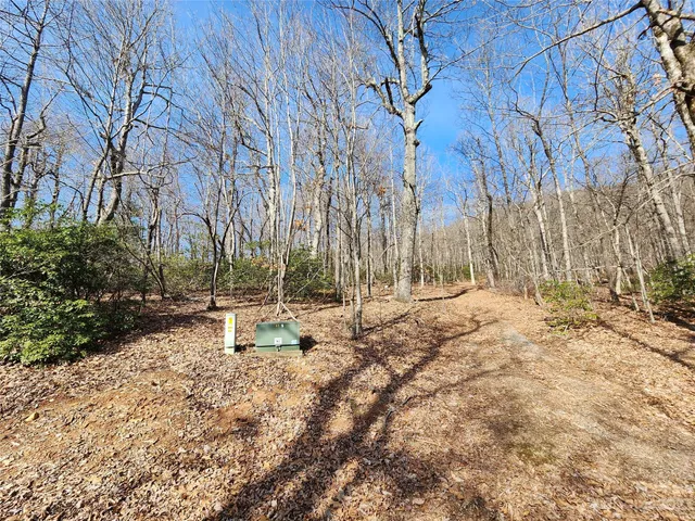 $99,000 | Lot 77 Three Bridges Drive, Columbus, NC 28722