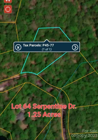 $99,000 | Lot 77 Three Bridges Drive, Columbus, NC 28722