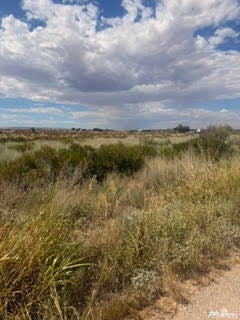 8129 Tovar Road Carlsbad, NM 88220 - Photo 1 of 7 Gallery Image 1