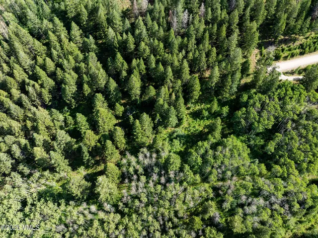 a view of a city with lush green forest
