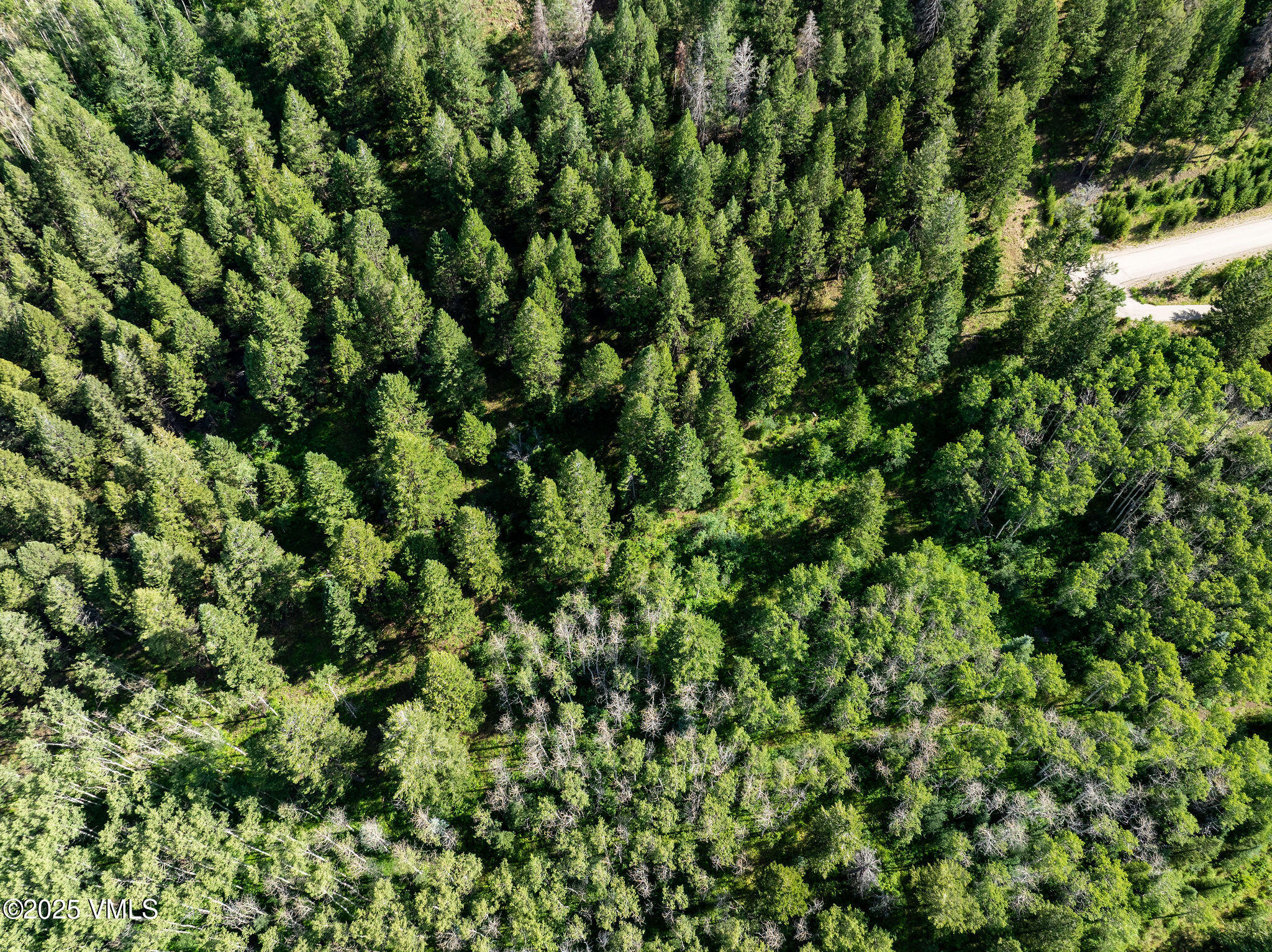 777 Graham Road Edwards, CO 81632 - Photo 7 of 11 a view of a lush green field