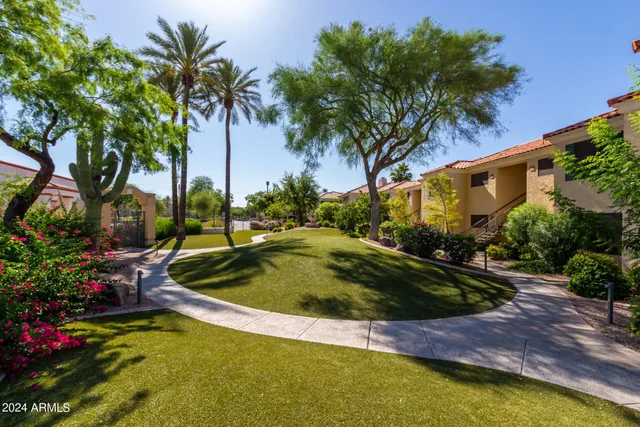 a view of a backyard with plants and swimming pool