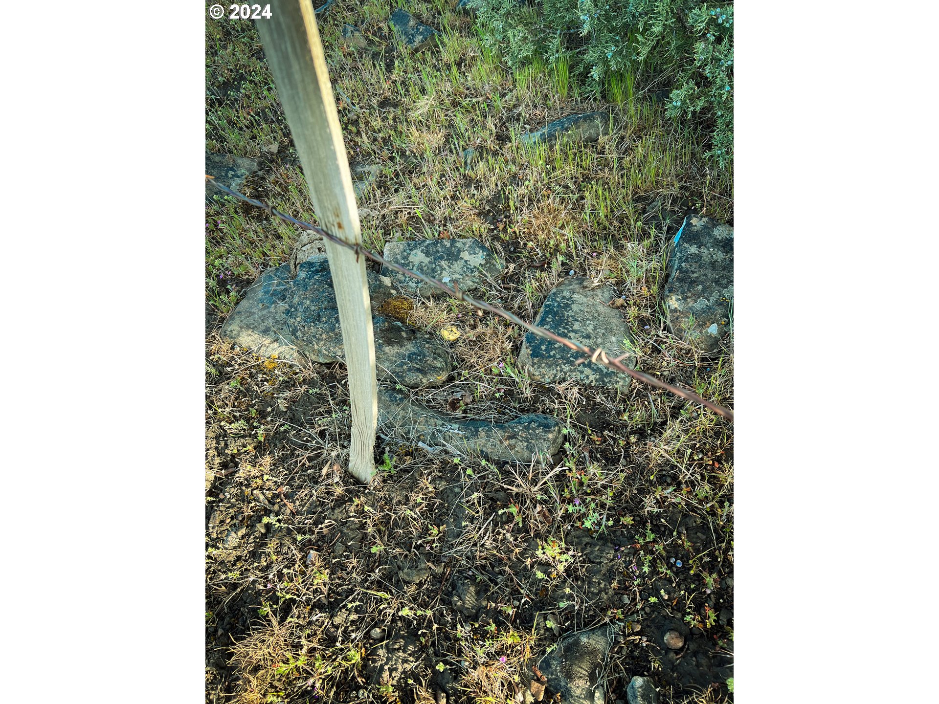 229 Valley View Drive John Day, OR 97845 - Photo 15 of 16