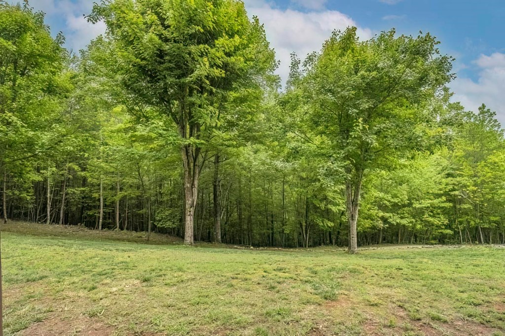 477 Boot Legger Road Morganton, GA 30560 - Photo 25 of 39