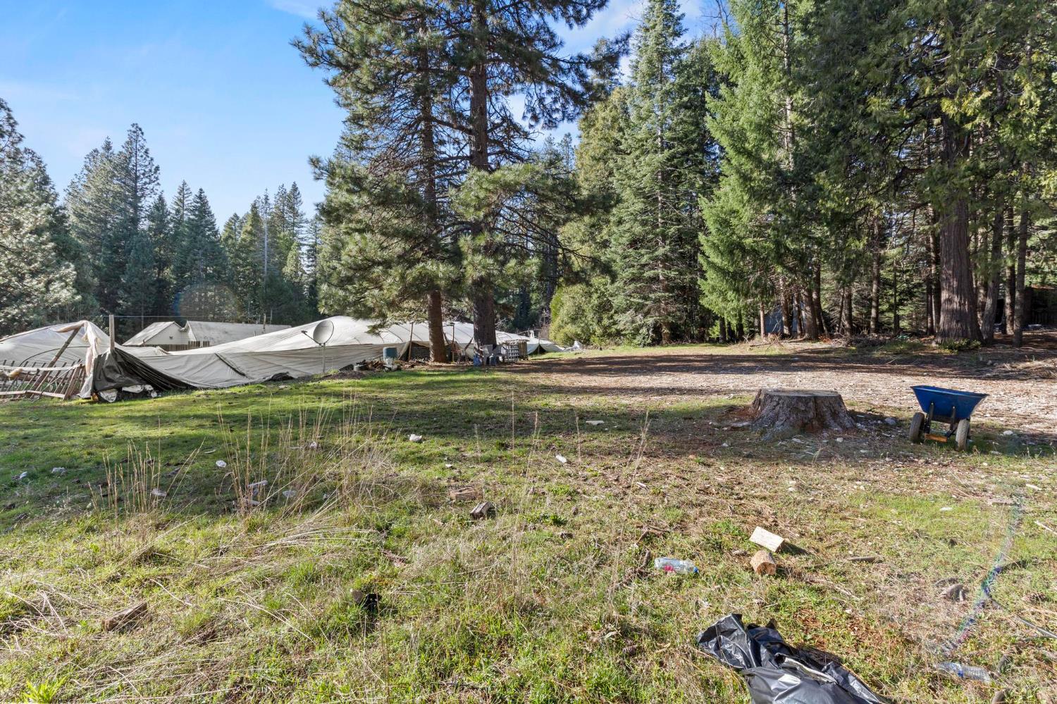 13887 La Porte Road Strawberry Valley, CA 95981 - Photo 32 of 37 a view of a park with large trees