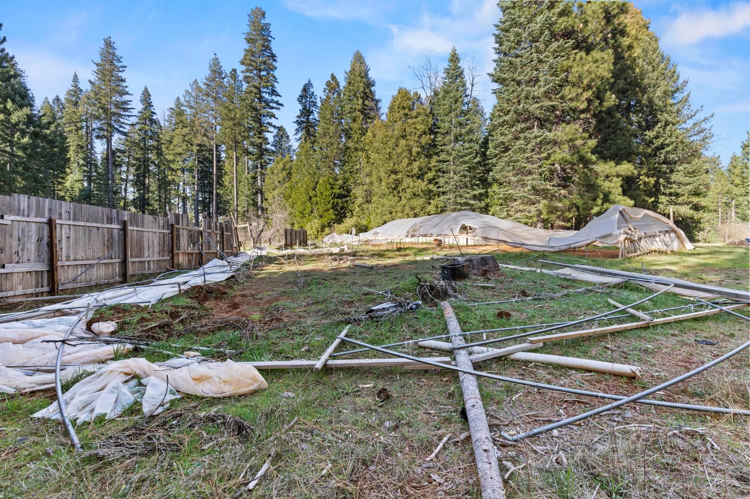 13887 La Porte Road Strawberry Valley, CA 95981 - Photo 33 of 37 a view of a backyard