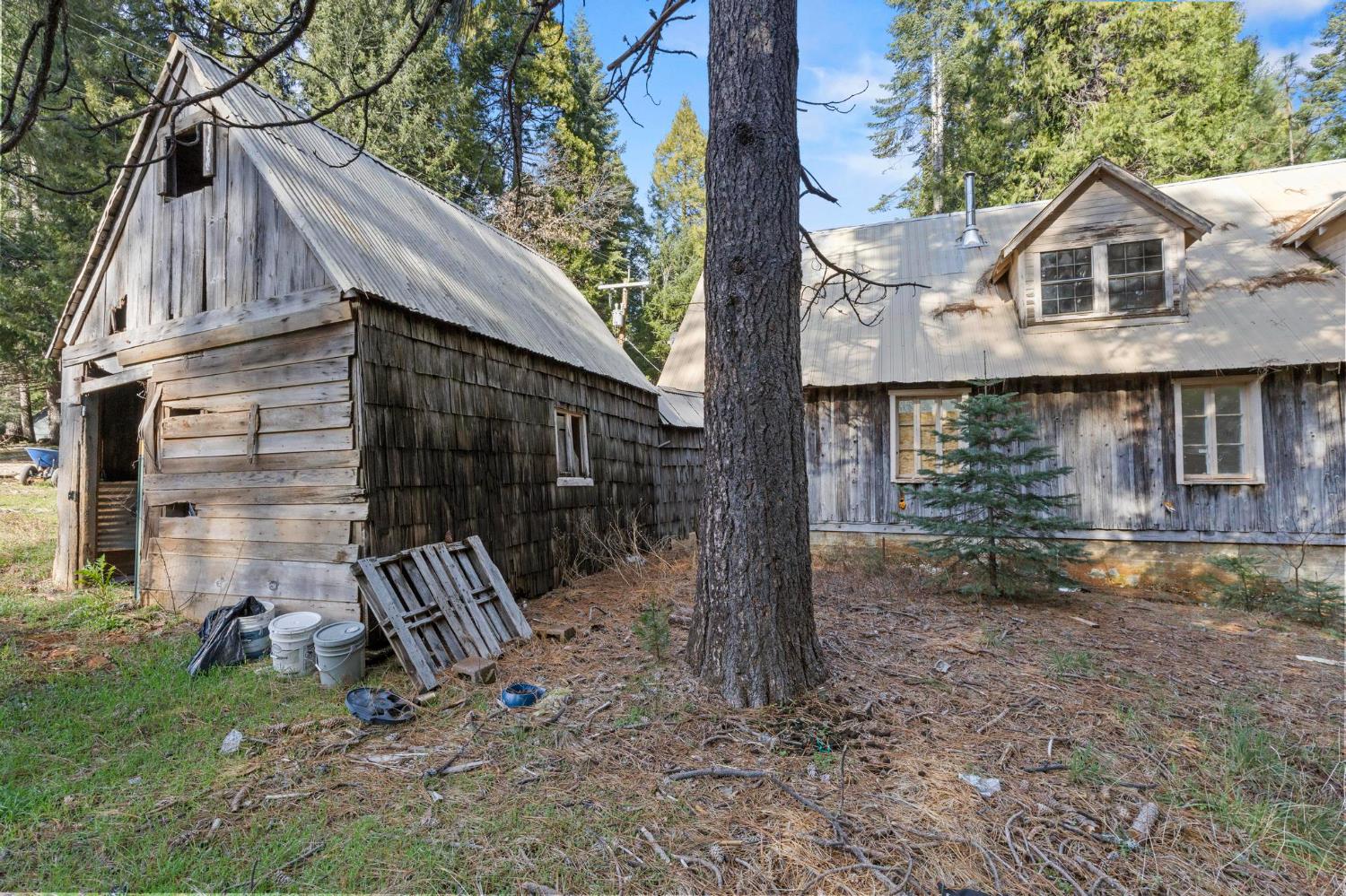 13887 La Porte Road Strawberry Valley, CA 95981 - Photo 8 of 37 a view of a wooden house with a yard and large tree