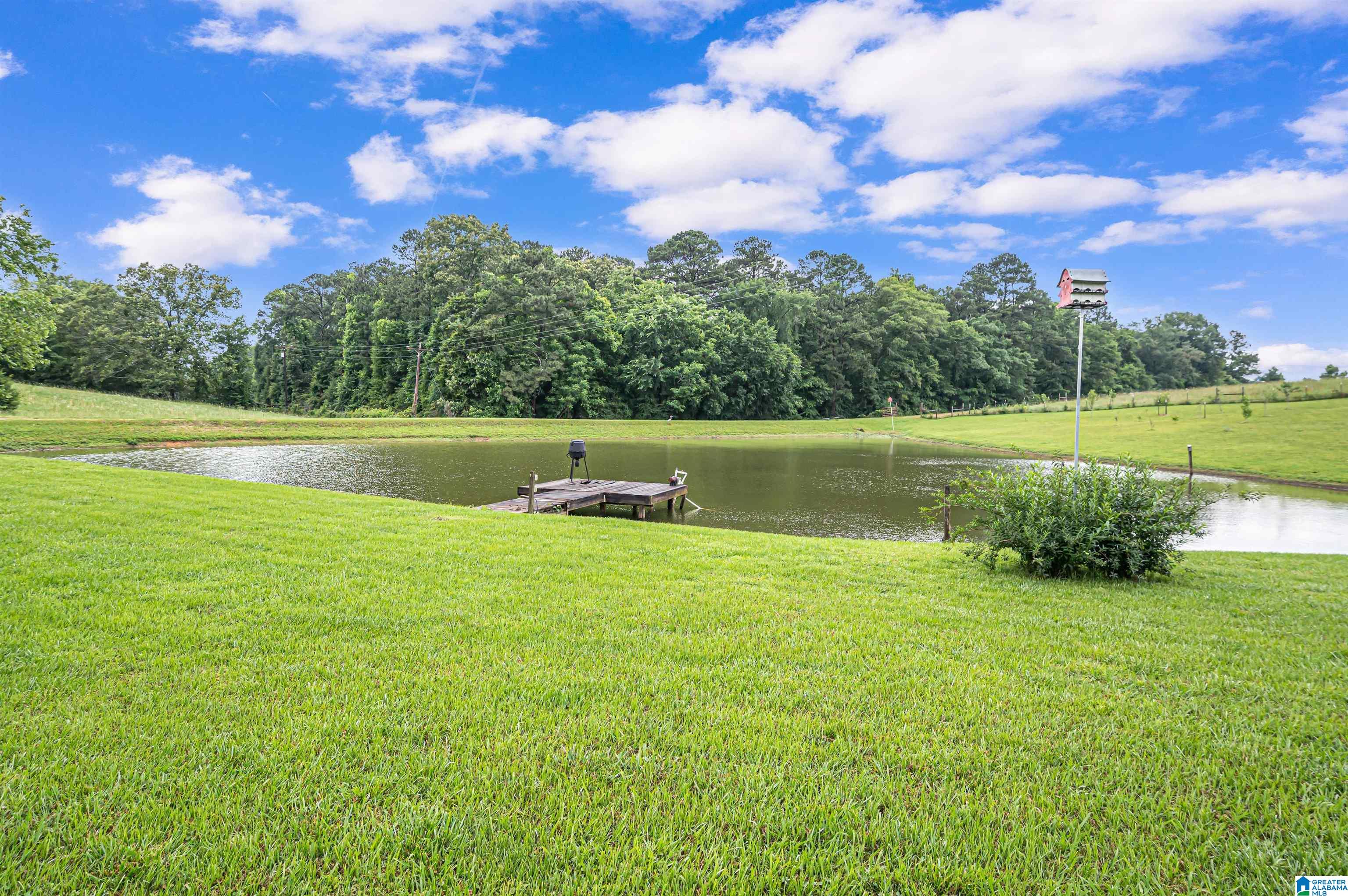 200 Treasure Island Road Cropwell, AL 35054 - Photo 3 of 48