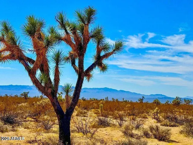 a view of a yard with mountain
