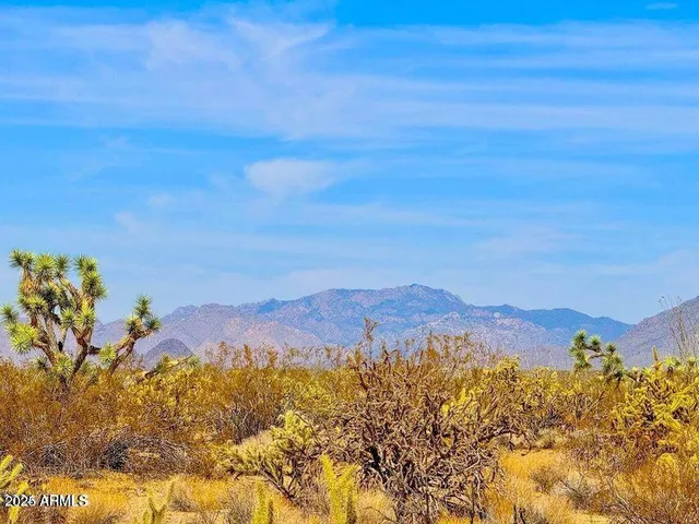 a view of a city with mountains in the background