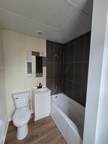 a bathroom with a sink toilet a mirror and bathtub