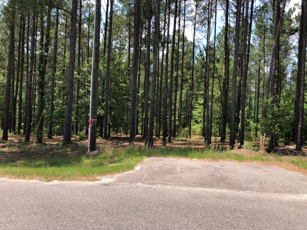 0 Peach Cider Road Batesburg, SC 29006 - Photo 1 of 4