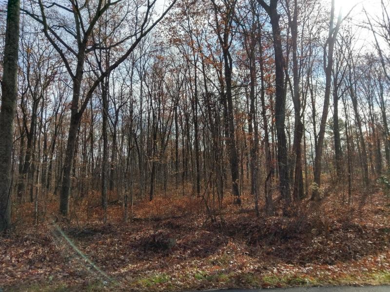 25 Deerhead Road Dunlap, TN 37327 - Photo 5 of 14