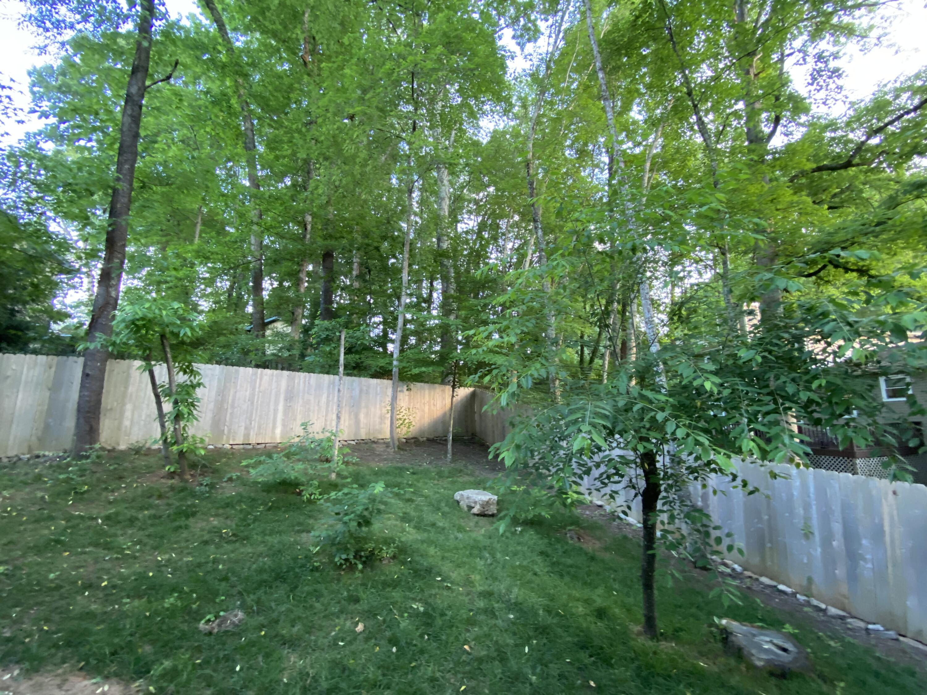 104 Hardwick Place Oak Ridge, TN 37830 - Photo 17 of 19 104 fenced yard