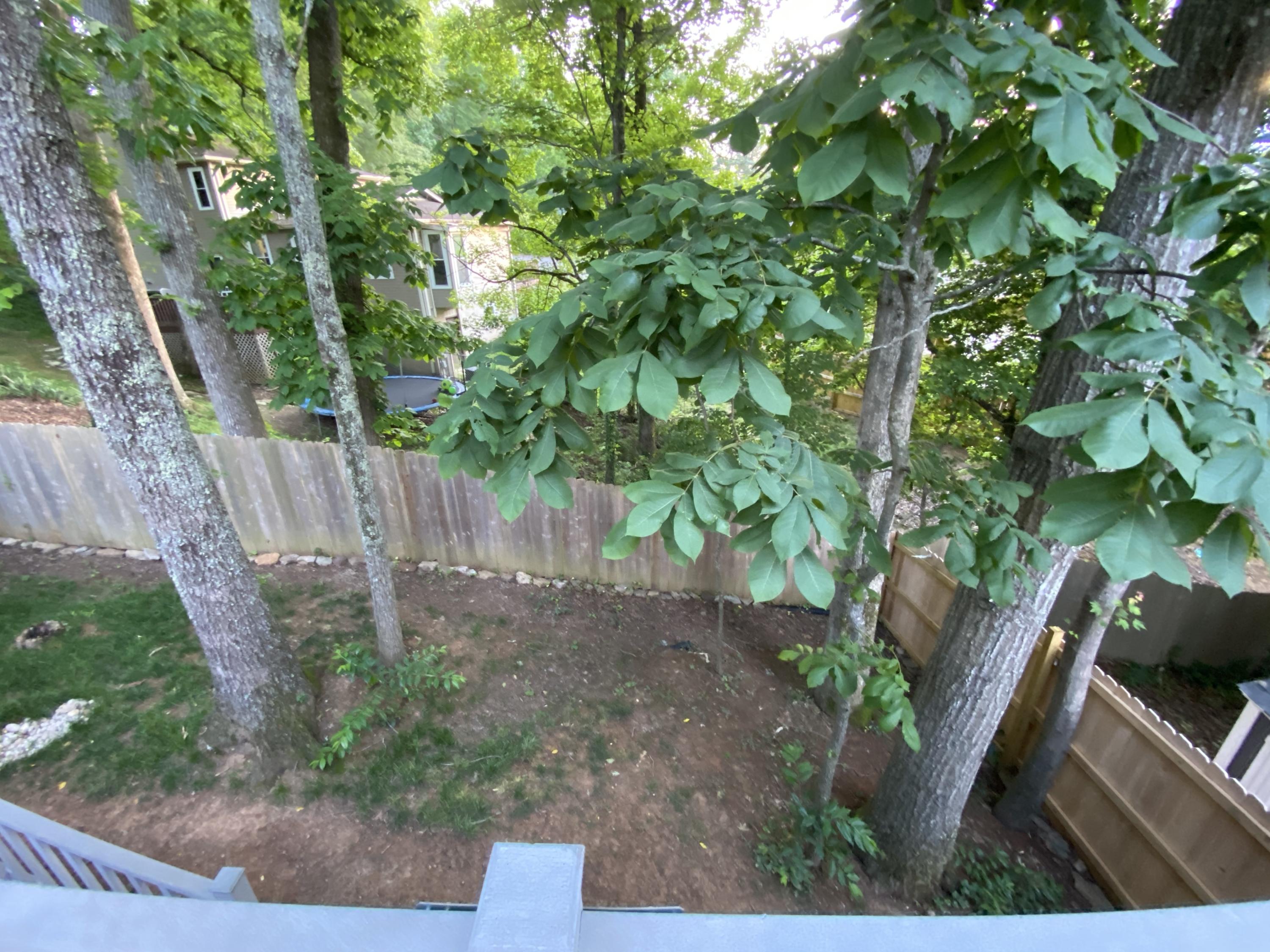 104 Hardwick Place Oak Ridge, TN 37830 - Photo 18 of 19 104 yard