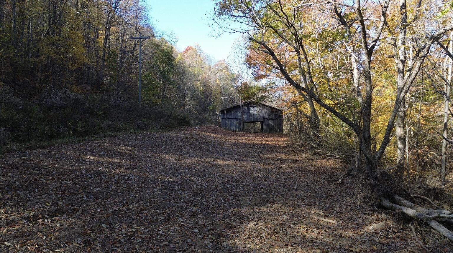0 Gander Branch Road Vanceburg, KY 41179 - Photo 27 of 45 IMG_5999