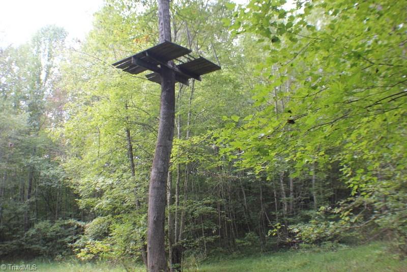 1876 King Road Westfield, NC 27053 - Photo 12 of 12 Gallery Image 12