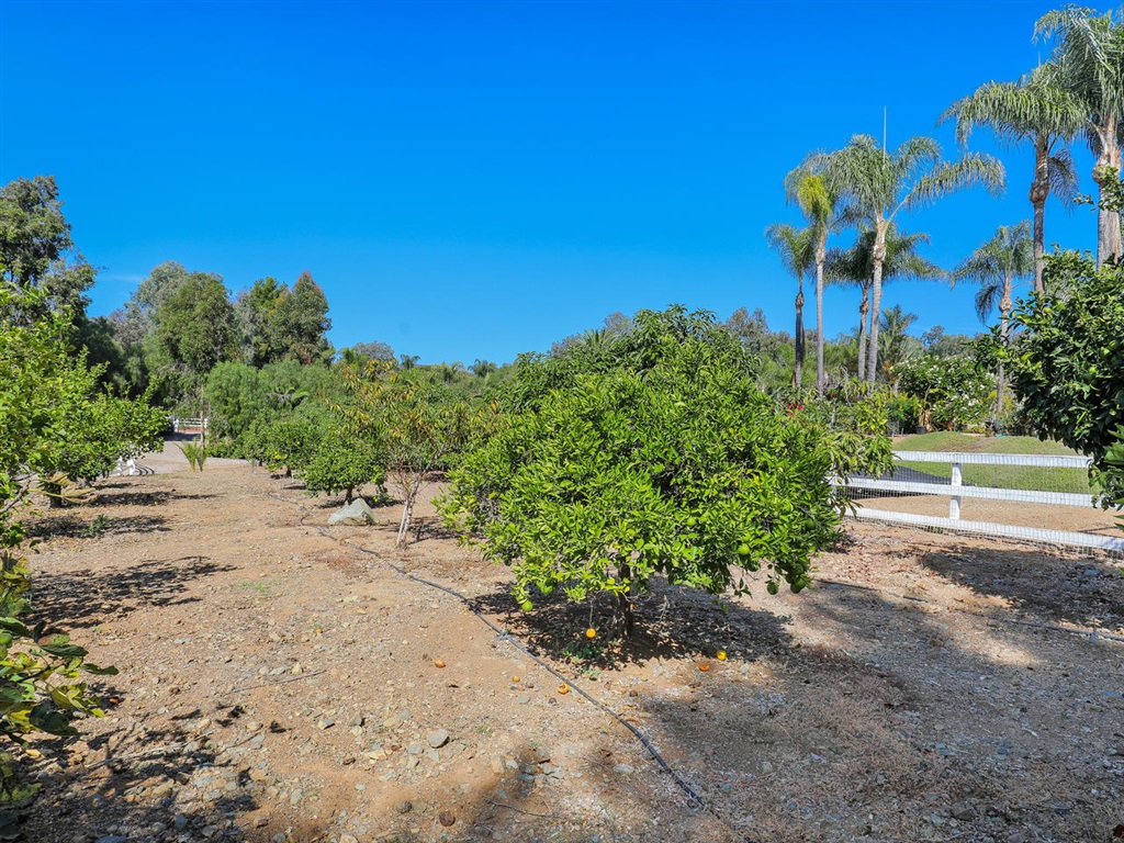 3317 Fortuna Ranch Road Encinitas, CA 92024 - Photo 13 of 25