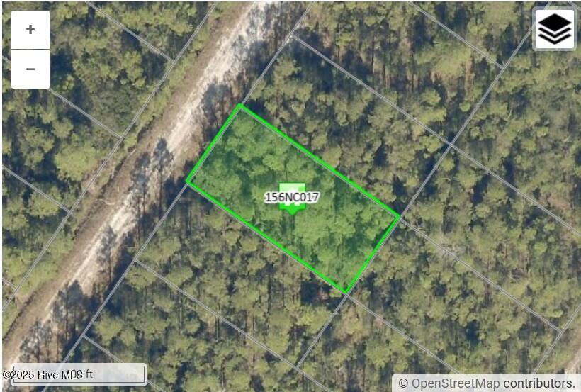 1021 Hawthorne Road Boiling Spring Lakes, NC 28461 - Photo 1 of 2 Aerial View