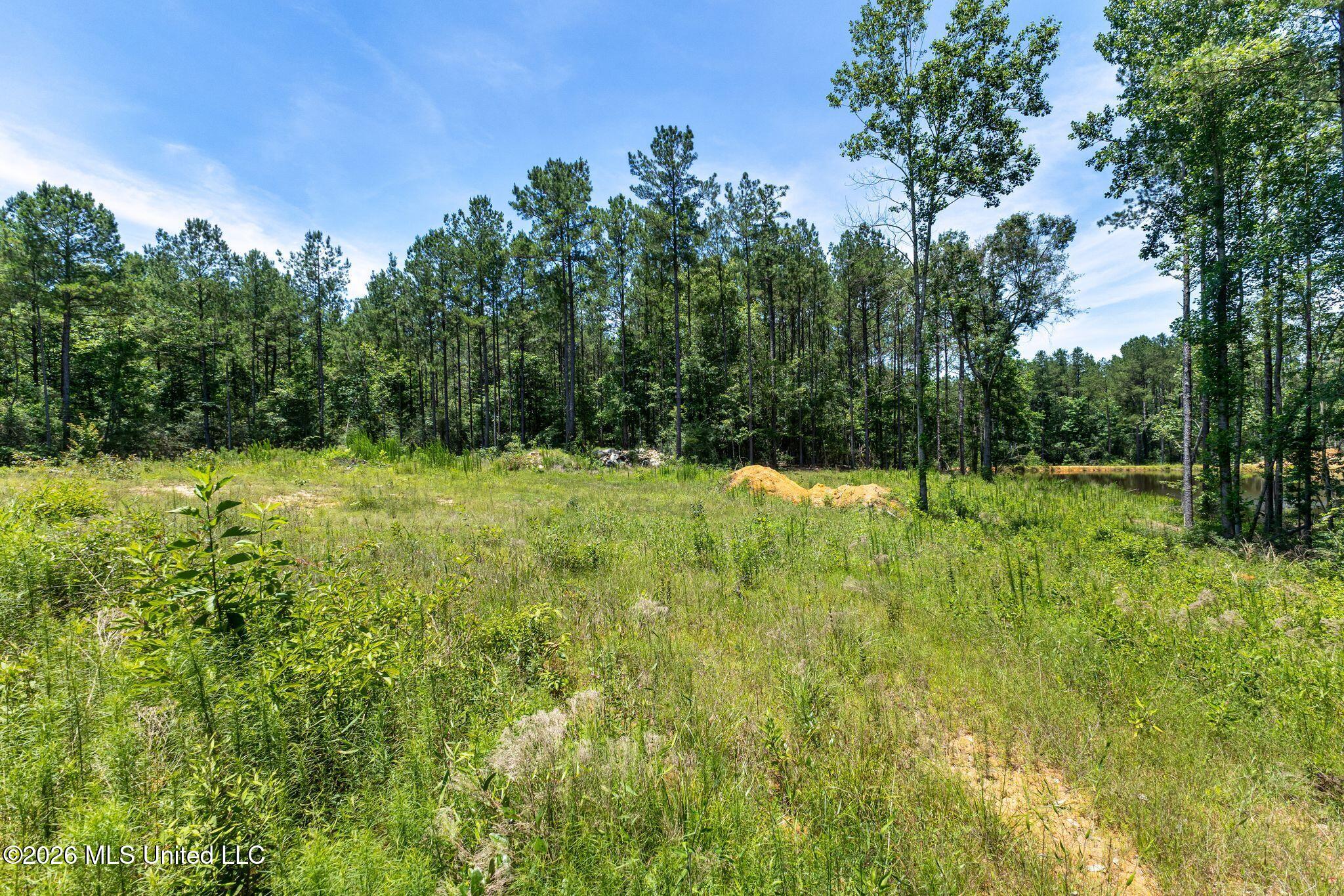 313 Spur Line Road Ellisville, MS 39437 - Photo 18 of 34 313_Spurline-18