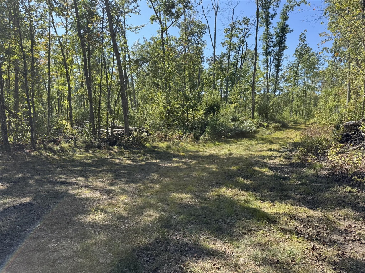 East County Line Road Manistee, MI 49660 - Photo 21 of 32