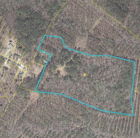 0 South Nc 231 Hwy Spring Spring Hope, NC 27882 - Photo 2 of 6 AERIAL