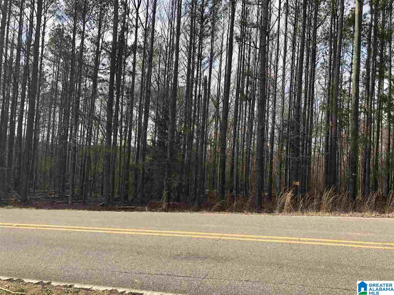 3928-3938 Redman Hall Road, Unit 4 44ACRES Pinson, AL 35126 - Photo 5 of 6 Gallery Image 5