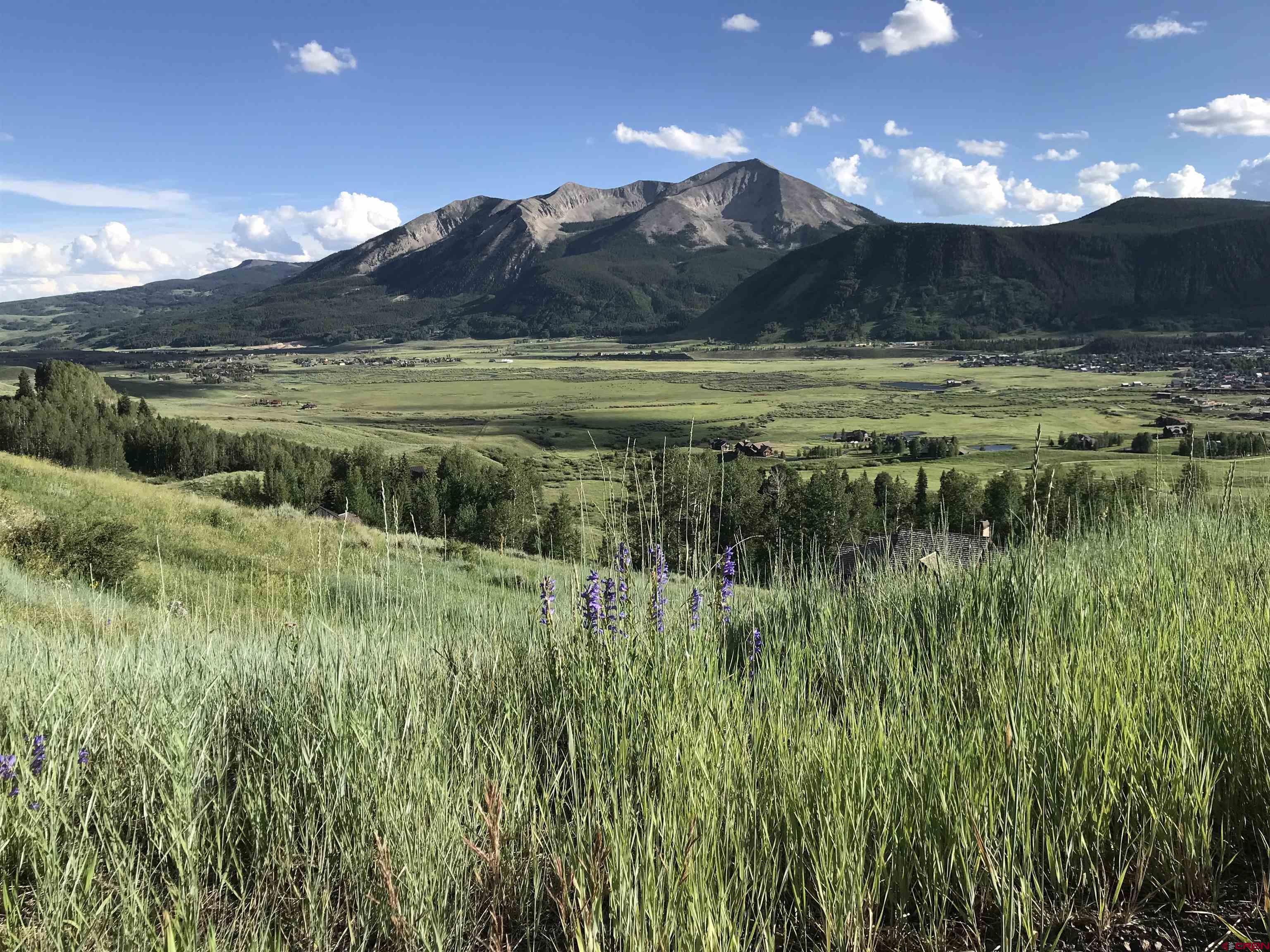 35 Overlook Drive Crested Butte, CO 81225 - Photo 1 of 22 a view of a lake in the middle of a yard