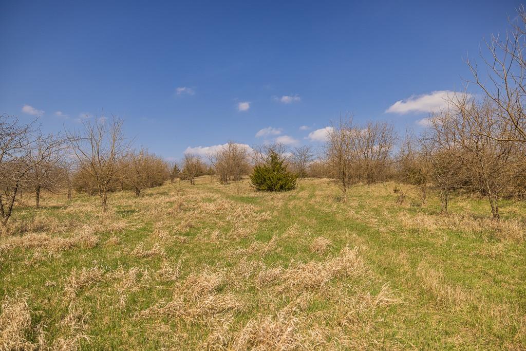 West State Line Road Grant City, MO 64456 - Photo 11 of 99